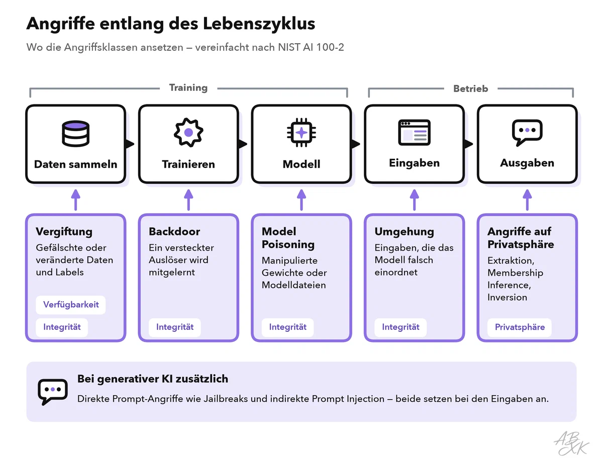 Der Lebenszyklus eines Modells von der Datensammlung über Training und fertiges Modell bis zu Betrieb und Ausgaben; Vergiftung und Backdoors greifen die frühen Phasen an, Umgehung die Eingaben, Extraktion, Membership Inference und Inversion nutzen die Ausgaben
