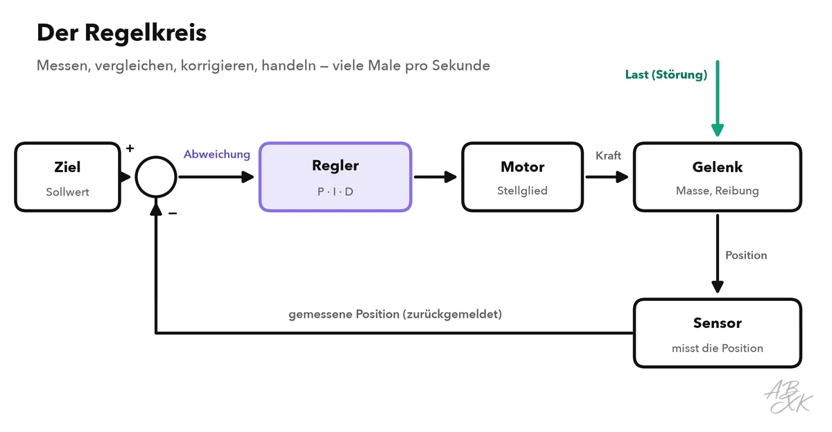 Ein Kreislauf aus vier Kästen: Ziel und gemessene Position treffen sich an einem Vergleichspunkt, die Abweichung geht an den Regler, der Regler steuert den Motor, der Motor bewegt das Gelenk, ein Sensor misst die neue Position und meldet sie zurück; eine Last drückt von außen auf das Gelenk