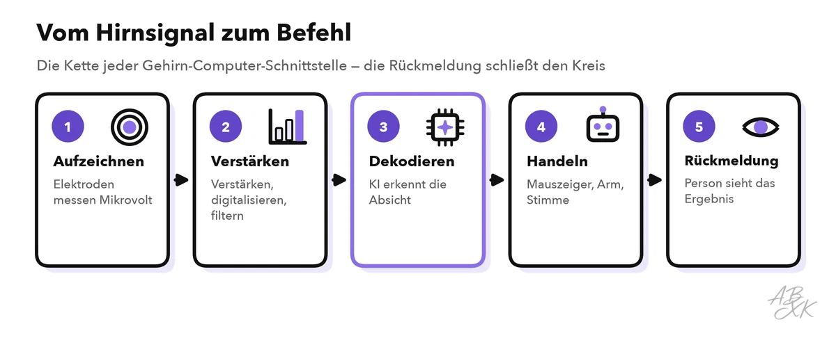 Eine Kette von Schritten: Elektroden zeichnen Hirnaktivität auf, ein Verstärker verstärkt und digitalisiert sie, ein KI-Decoder erkennt die beabsichtigte Bewegung, der Befehl bewegt einen Mauszeiger oder eine Stimme, und die Person sieht das Ergebnis und passt sich an