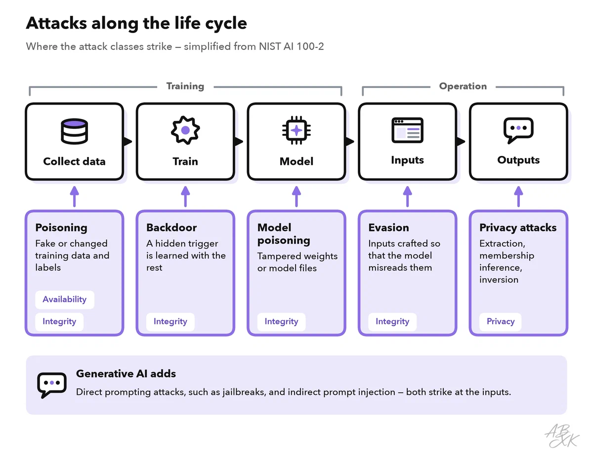 The life cycle of a model from data collection through training and the finished model to deployment and outputs; poisoning and backdoors attack the early stages, evasion attacks the inputs, and extraction, membership inference and inversion use the outputs