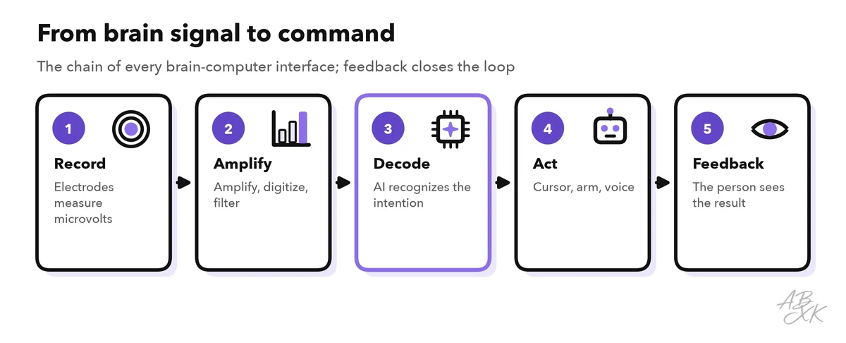 A chain of steps: electrodes record brain activity, an amplifier strengthens and digitizes it, an AI decoder recognizes the intended movement, the command moves a cursor or a voice, and the person sees the result and adjusts